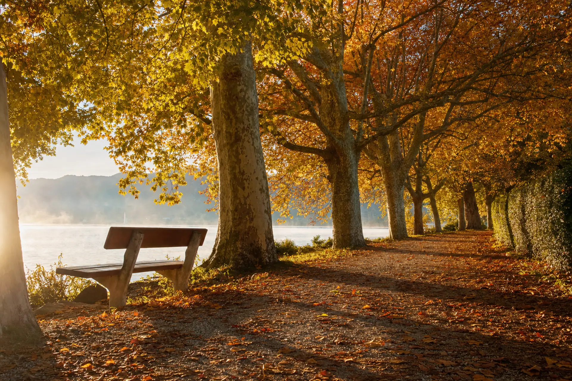 Herbstlicher Uferweg am Zürichsee